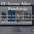 It Sector After Pandemic