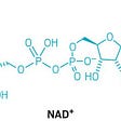 The chemical structure of NAD molecule
