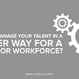 Talent Management, Job Tips, Career Guide
