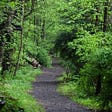 A trail into the woods in a West Virginia springtime.