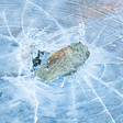 Cracked sheet of ice with a rock in the centre