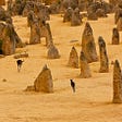 3 kangaroos in silhouette hopping through the stark limestone pillars in the desert