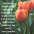 I learned to look at all the good in the world and to try to give some of it back. — Anna Quindlen