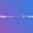 Bridge network partners with Lossless