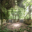 Sunny, abandoned glass warehouse overgrown with plants and vines
