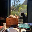 Two cats sitting on a desk looking out the window