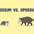 Possums are not opossums!