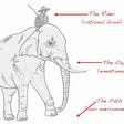 Image result for elephant and rider