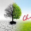 Tree changing from barren branches to green growth — Yes, Cheaters Can Really Change-Here’s Why