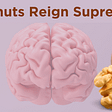 Picture of a brain and a shelled walnut comparing how similar they look.