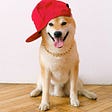 Can Substance follow Hype? Doge Dogecoin Shiba Inu