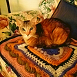 a tabby cat perches on a square afghan of many colors and textures as if to dare her owner to make her move. The afghan is located on the seat of the owner’s favorite chair, making the space even more valuable for this cat.