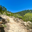 Rocky, brown trail amidst green bushes and trees under a rich blue sky.