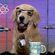 A dog in a lab doing some science experiments