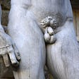 A photo of the penis of the famous statue “David”.