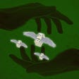 An illustration of two hand silhouettes catching money with wings as two hourglasses indicate the passing of time on a dark green rough-textured background.