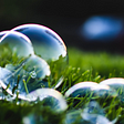 Bubbles on green grass