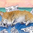 A corgi dog lies napping amongst his writing efforts