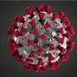 Picture of Corona Virus (COVID-19)