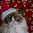 Still from the film “Grumpy Cat’s Worst Christmas Ever” featuring the titular star in a Santa hat.
