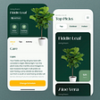 Fiddle leaf product page.