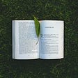 Open book on the grass. Bookmarked with a green leaf at chapter six.