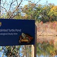 sign next to pond that reads “Painted Turtle Pond Ecological Study Area” with image of turtle