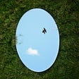 Reflection of bird flying in a mirror laying on the grass