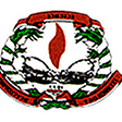 The Logo of Nigerian Academy of Science (NAS)