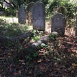 a trio of graves, covered in ivy in an old graveyard