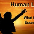 Human life, what is its essence? How would you define what makes up human life? Are we just entangled cells?