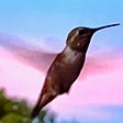 A hummingbird with wings blurred as it flies in front of dawn colors and a bit of tree