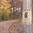 Lost Dog Poster on Pole