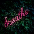 The word “breathe” in a neon sign on a backdrop of green leaves.