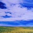 Image of a blue sky with fluffy white clouds and a field of marigold flowers