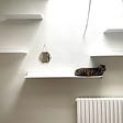 White wall with white shelves, mirror, radiator, and a cat.
