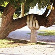 A wooden hand holding up a tree growing sideways