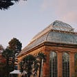 image shows a glasshouse with a small white canopy outside and surrounded by autumn trees