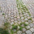 A light gray cobblestone street. Between the seams of the cobblestones, green weeds and grass have sprouted, forming a path from the center top of the photograph to the bottom left-hand corner, where the weeds are flourshing.