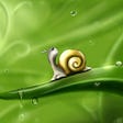 Poem, A snail