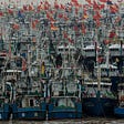 https://www.nytimes.com/2017/05/03/opinion/china-wants-fish-so-africa-goes-hungry.html