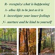 A collage of three images of the woods taken in summer and fall, showing the leaves first green and then a burst of yellow and orange.
