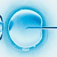 Computer artwork of in vitro fertilization of an ovum, colored in blue.