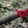 A red rope heart tied on a horizontal tree branch.