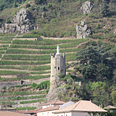 Rhone vineyard view Tain-l'Hermitage