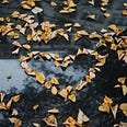 Autumn leaves in a rain puddle, on asphalt. In the center the leaves are shaped in a heart. A reflection of trees can be seen in the water.