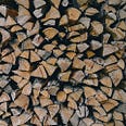 A wall of freshly chopped wood.