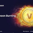 VirgoMoon token 50% burning has been completed and this is the first step to 100x Moon. the token will be like Safemoon and Shiba Un