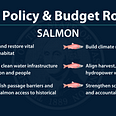 Protect & restore vital salmon habitat, invest in clean water infrastructure for salmon & people, correct fish passage barriers & restore salmon access to historical habitat, build climate resiliency, align harvest, hatcheries & hydropower with salmon recovery, strengthen science, monitoring, and accountability.