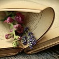 An open book with dried flowers laid between the pages. The photo hints at a romantic read.